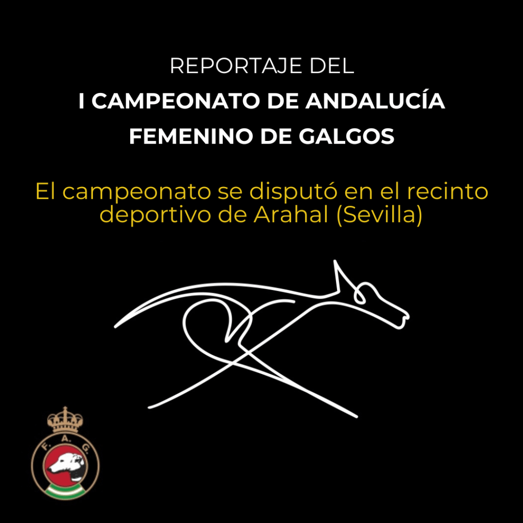 reportaje