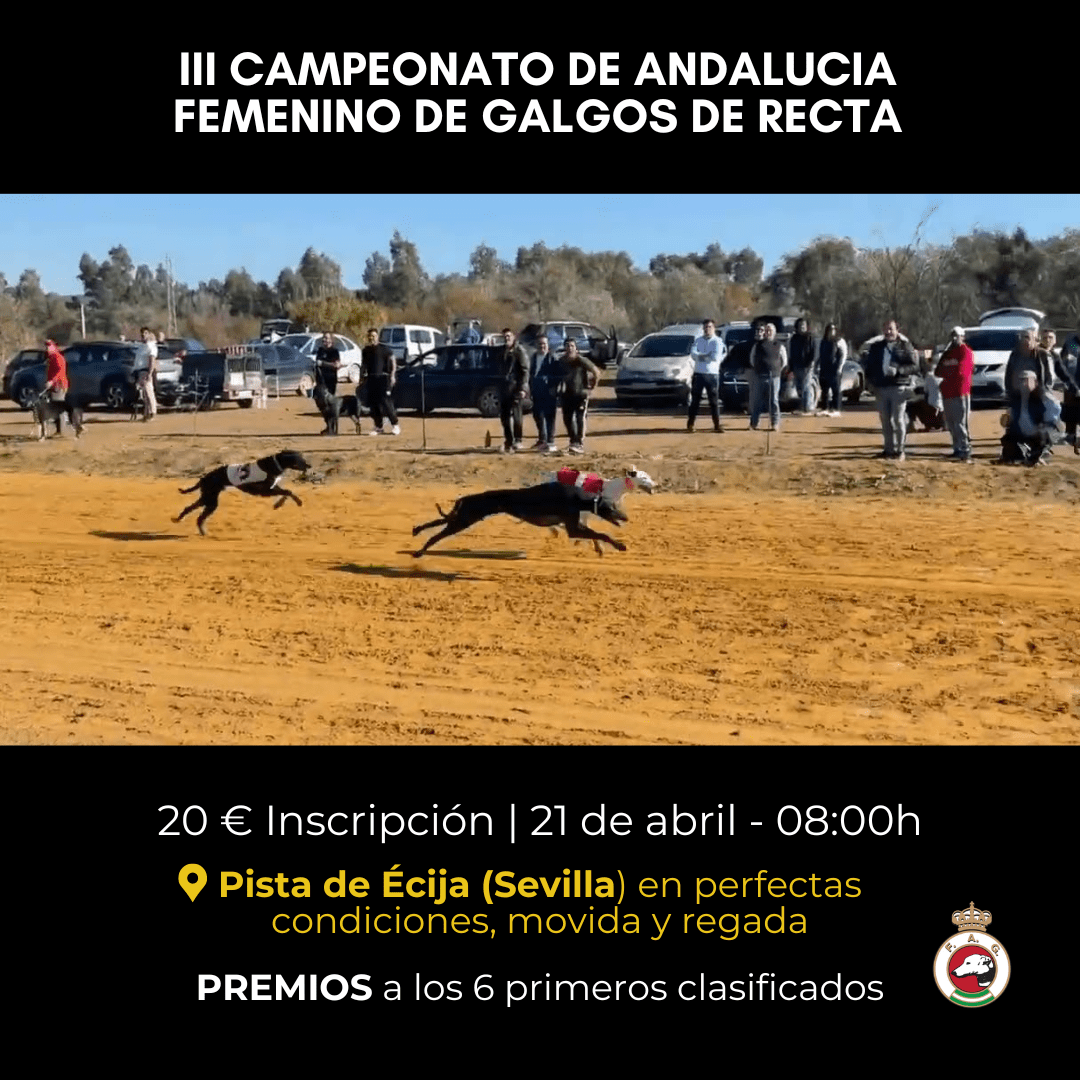 III Campeonato de Andalucía femenino de galgos de recta