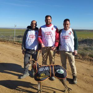 Imagen de Lola de Aguinúñez, galga de Alejandro Mulero, junto a sus acompañantes.