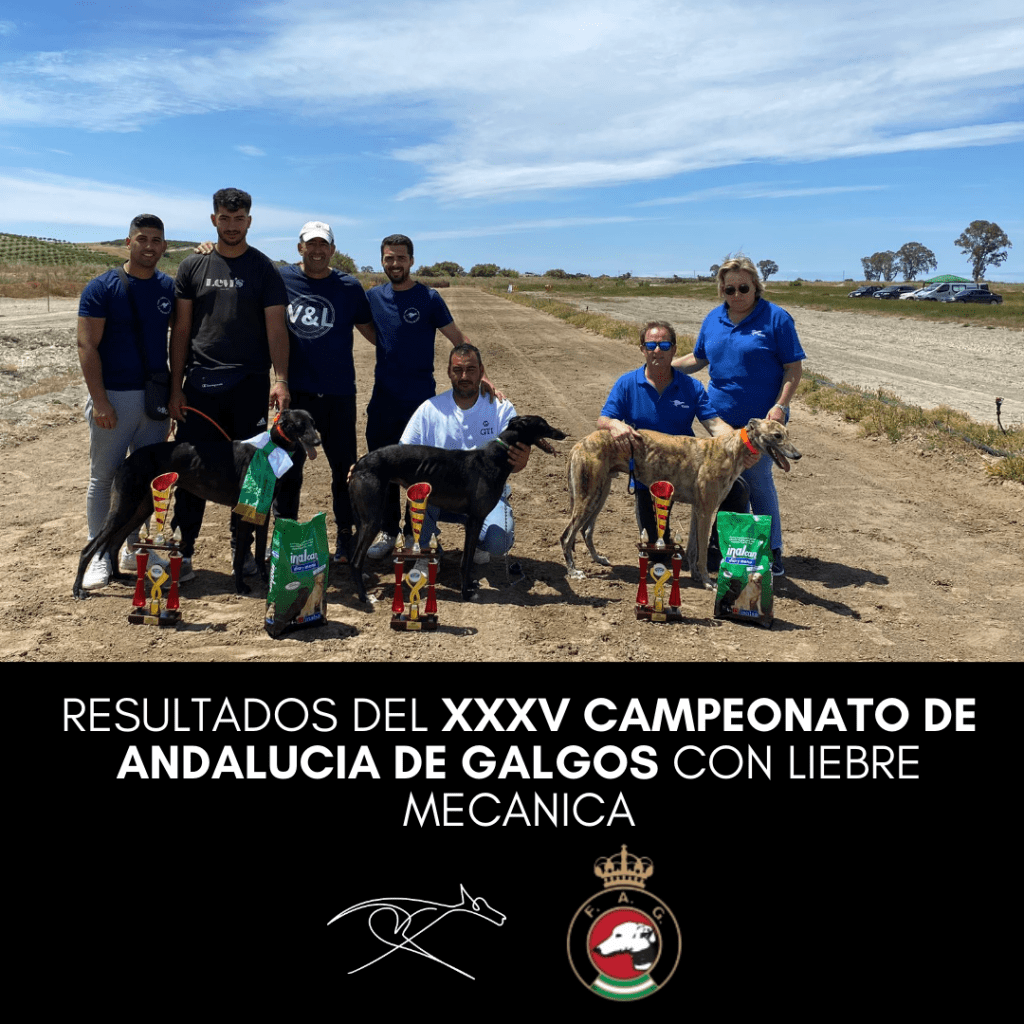 XXXV Campeonato de Andalucia de Galgos - Destacada