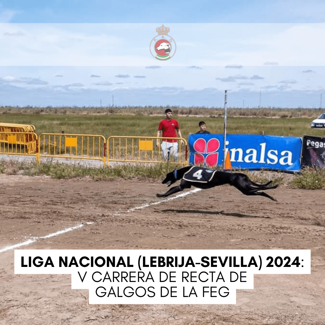 Liga Nacional (Lebrija-Sevilla) 2024 - Portada