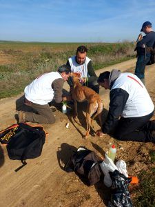 Imagen de José Manuel Vargas junto a sus compañeros y su galga campeonato de galgos de España.