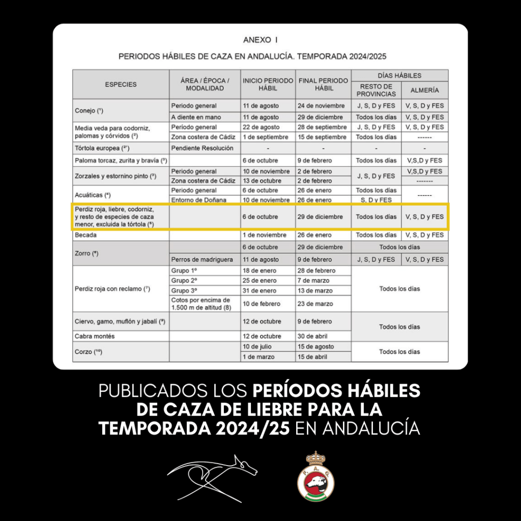 Temporada de caza de Andalucía para 2024/25
