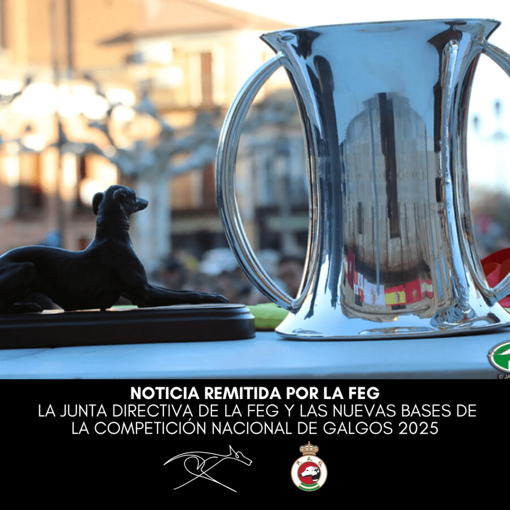 NOTICIA REMITIDA POR LA FEG LA JUNTA DIRECTIVA DE LA FEG Y LAS NUEVAS BASES DE LA COMPETICIÓN NACIONAL DE GALGOS 2025