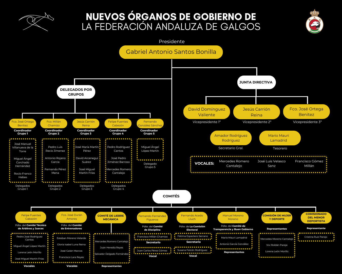 Organigrama de la estructura de miembros de la Junta Directiva y Comités de la Federación Andaluza de Galgos 2024