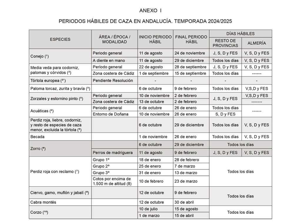 Temporada de caza de Andalucía para 2024/25