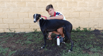 Chico con su galgo cuidado de sus almohadillas.