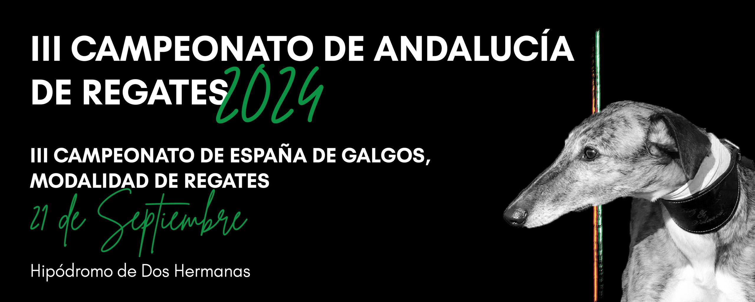Cartel III Campeonato de Regates