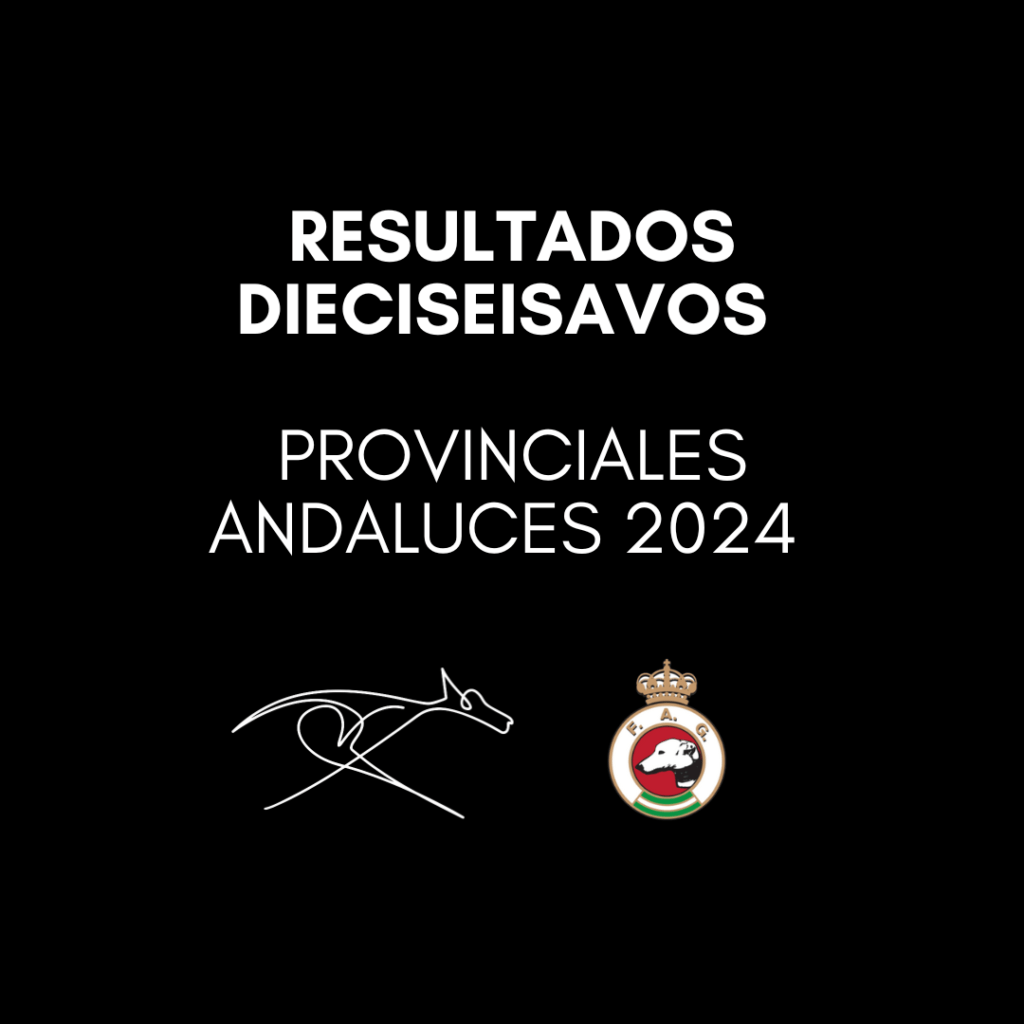 Resultados dieciseisavos - Provinciales andaluces 2024
