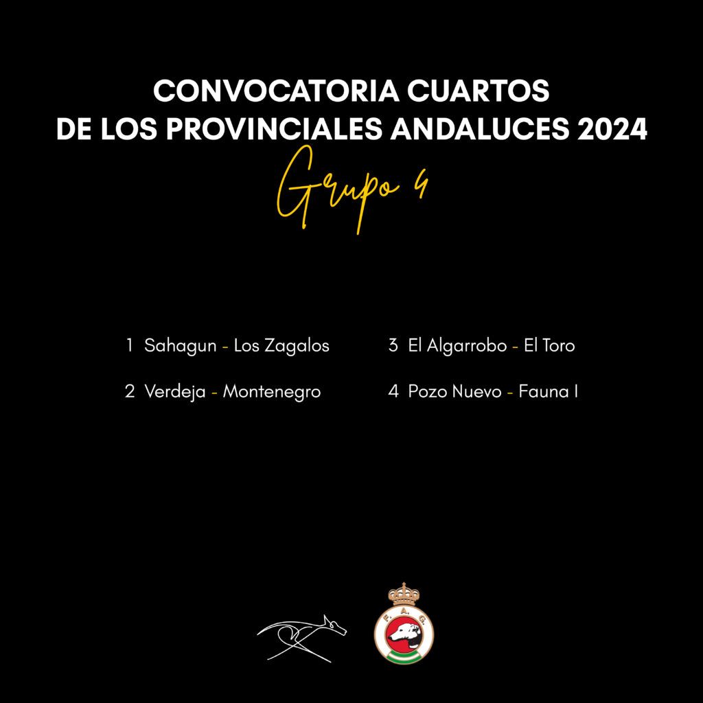 Convocatorias cuartos 2024 - Grupo 4