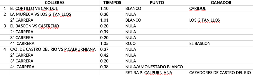 Resultados semifinales Grupo 2 - Provinciales 2024