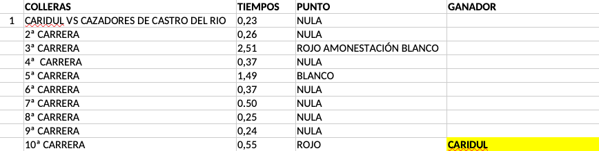 Resultados finales Grupo 2 - Provinciales 2024