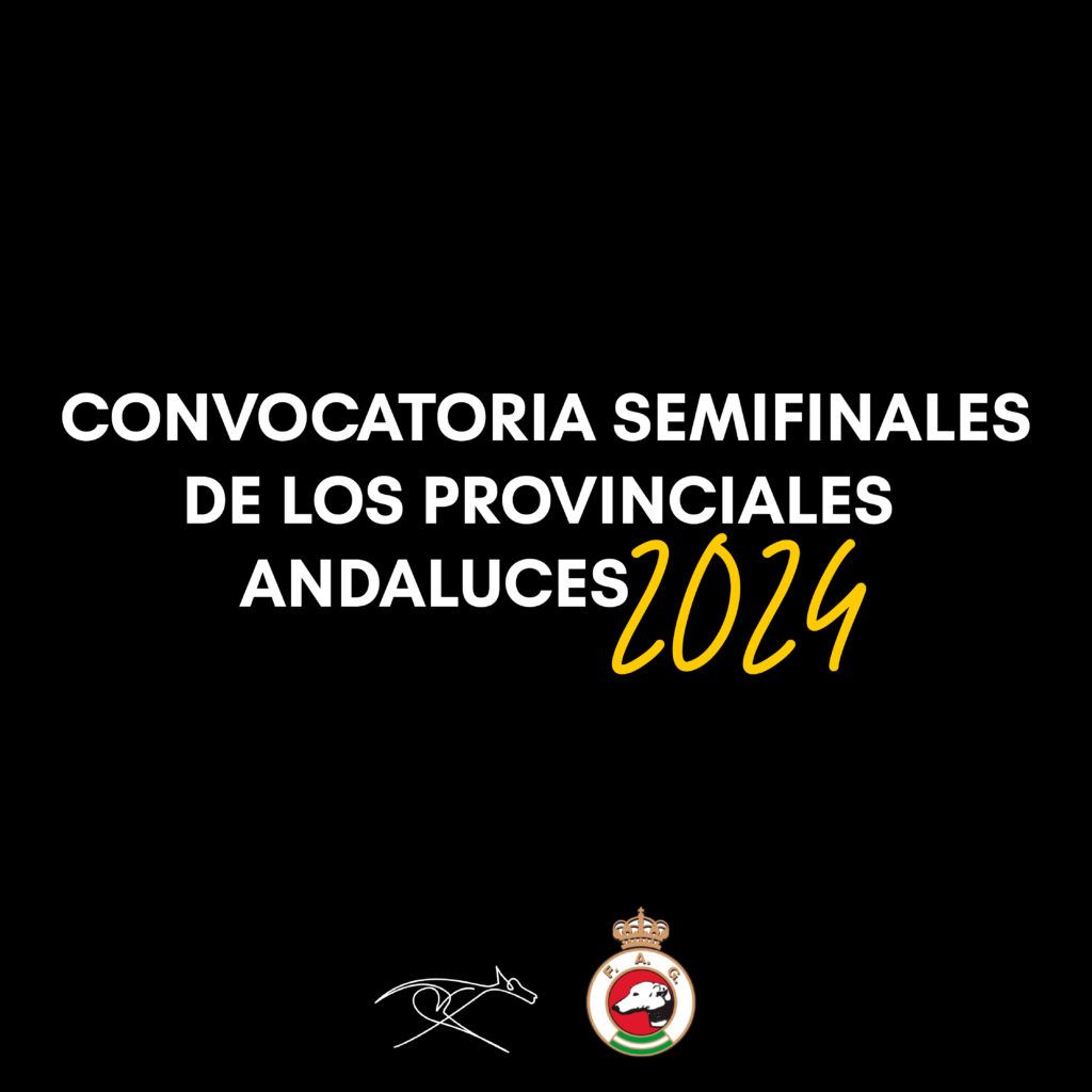 Convocatorias SEMIFINALES - Provinciales andaluces 2024