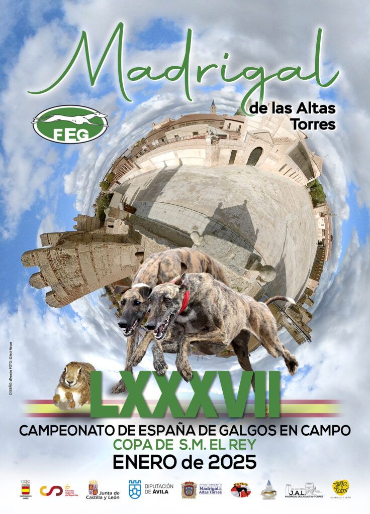 LXXXVII Campeonato de España de galgos en campo - 2025