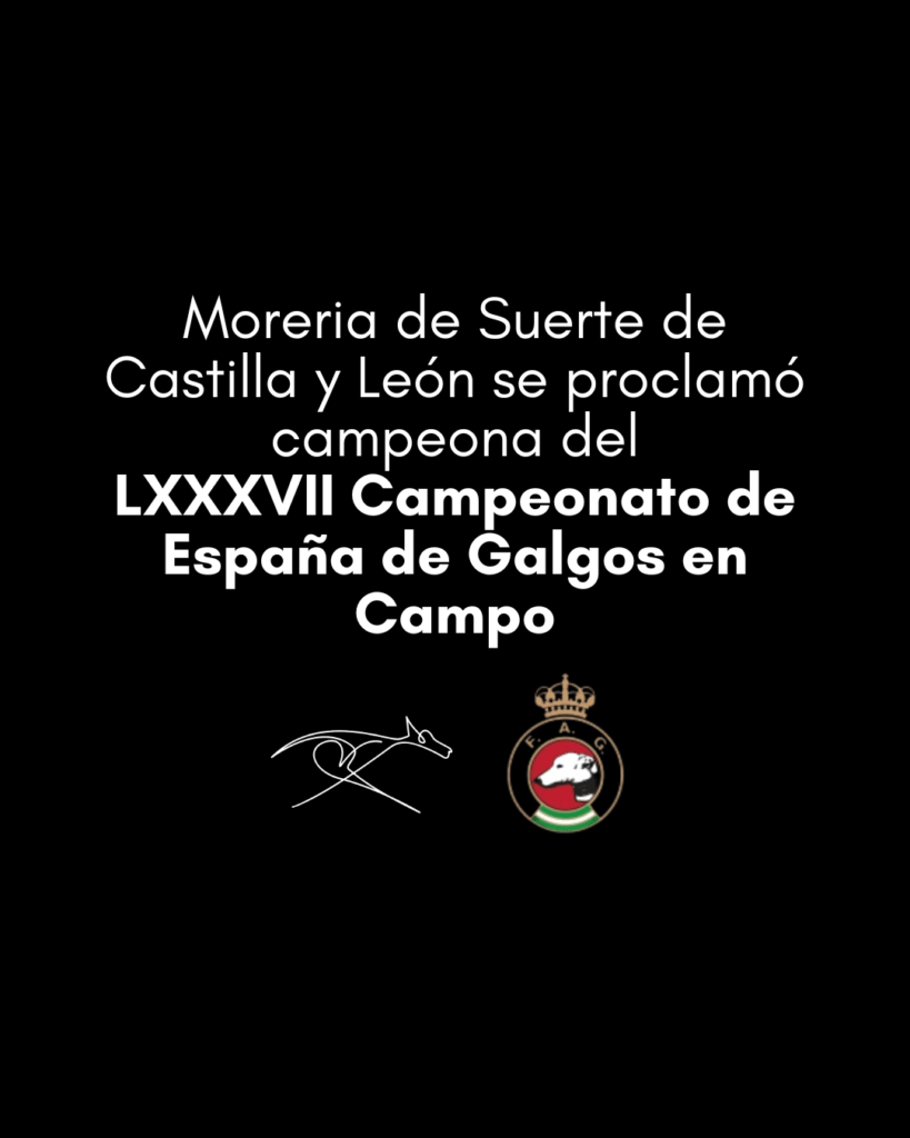 Moreria de Suerte de Castilla y León se proclamó campeona del LXXXVII Campeonato de España de Galgos en Campo