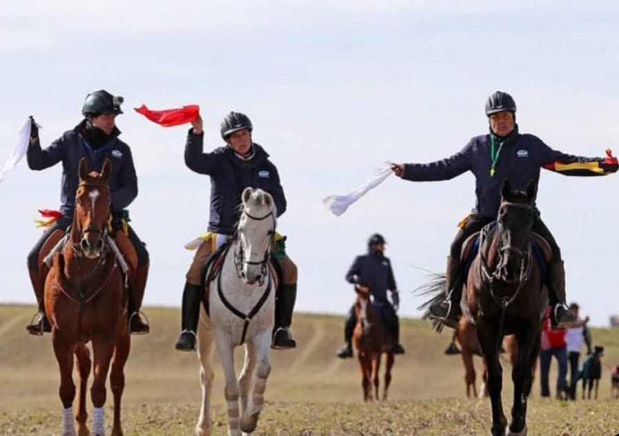 Juez de la derecha lleva en su mano izquierda los pañuelos amarillo y negro junto al pañuelo rojo y en la mano derecha el pañuelo blanco. Se indica que se ha amonestado al galgo de collar rojo, quedando como ganador el galgo de collar blanco