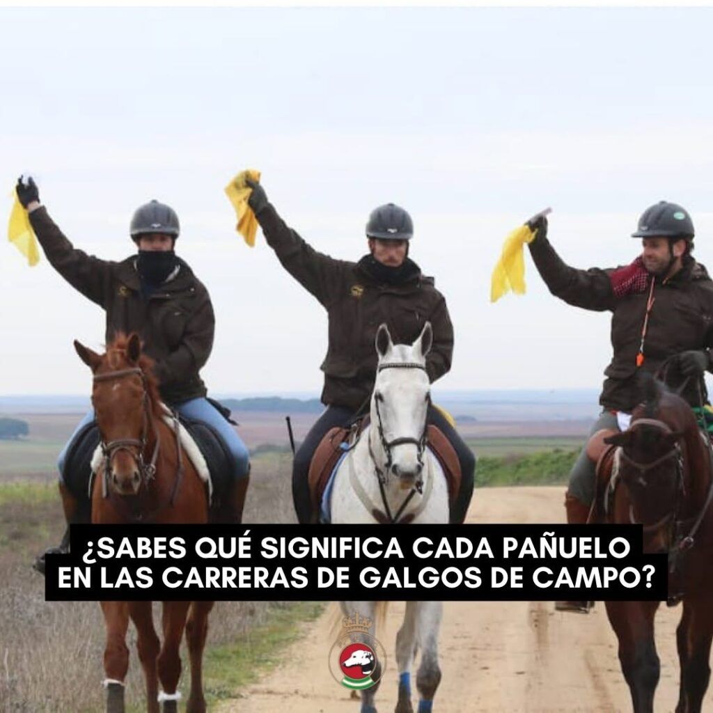Jueces montados a caballo sosteniendo pañuelo amarillo en su mano derecha