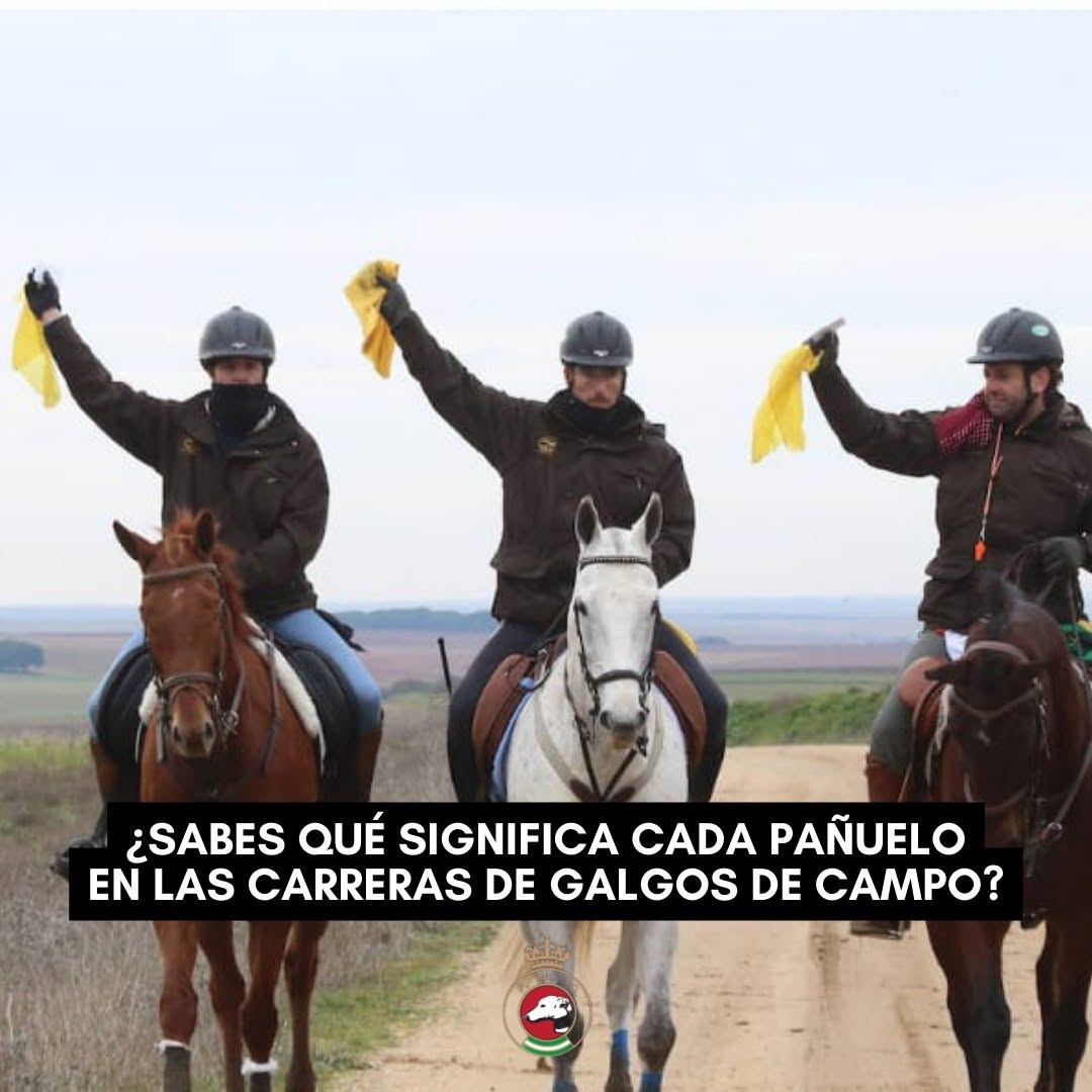 Jueces montados a caballo sosteniendo pañuelo amarillo en su mano derecha