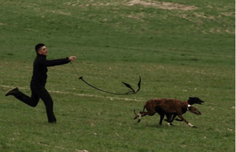 Imagen de soltador soltando a galgos con traílla