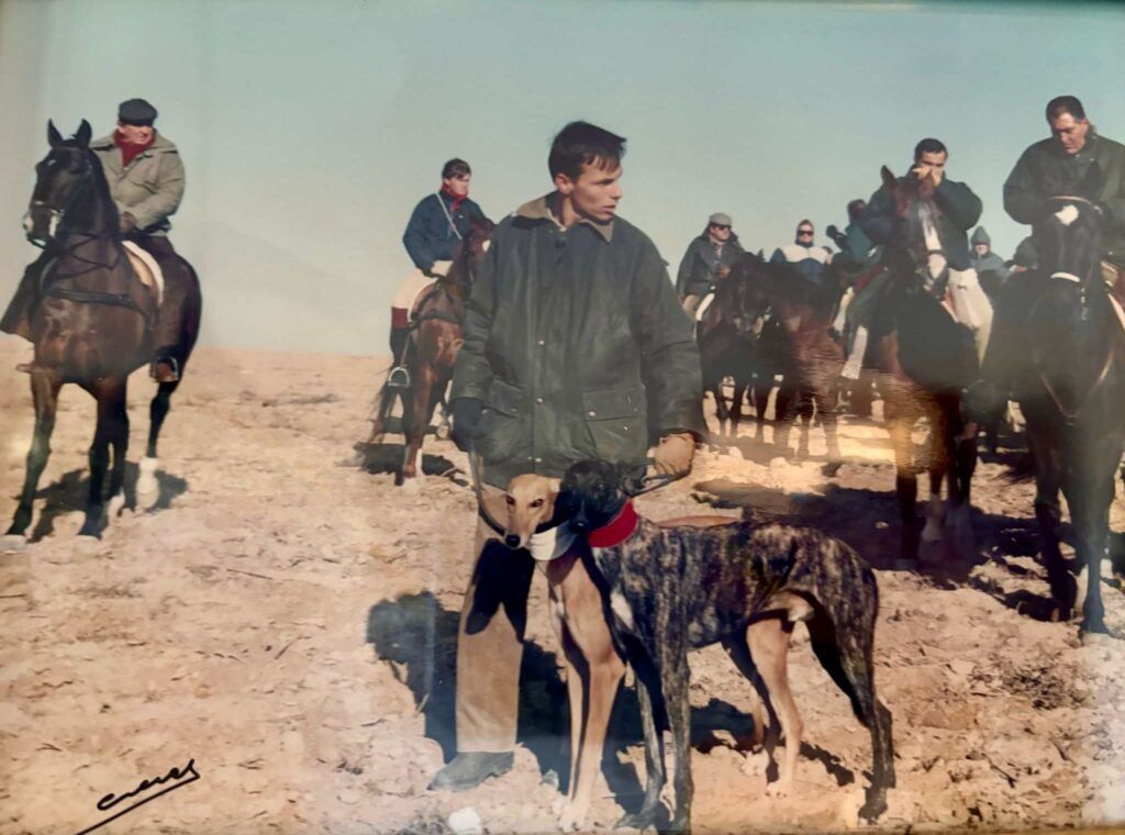 Imagen de Zacarías Gallego actual presidente de la Federación Castellano Manchega de Galgos actuando de trajillero con Turbo y Sobra.