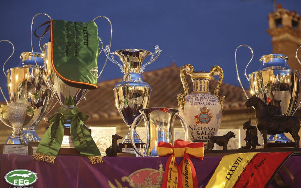 Imagen de trofeos de NACIONAL DE GALGOS EN CAMPO 2026