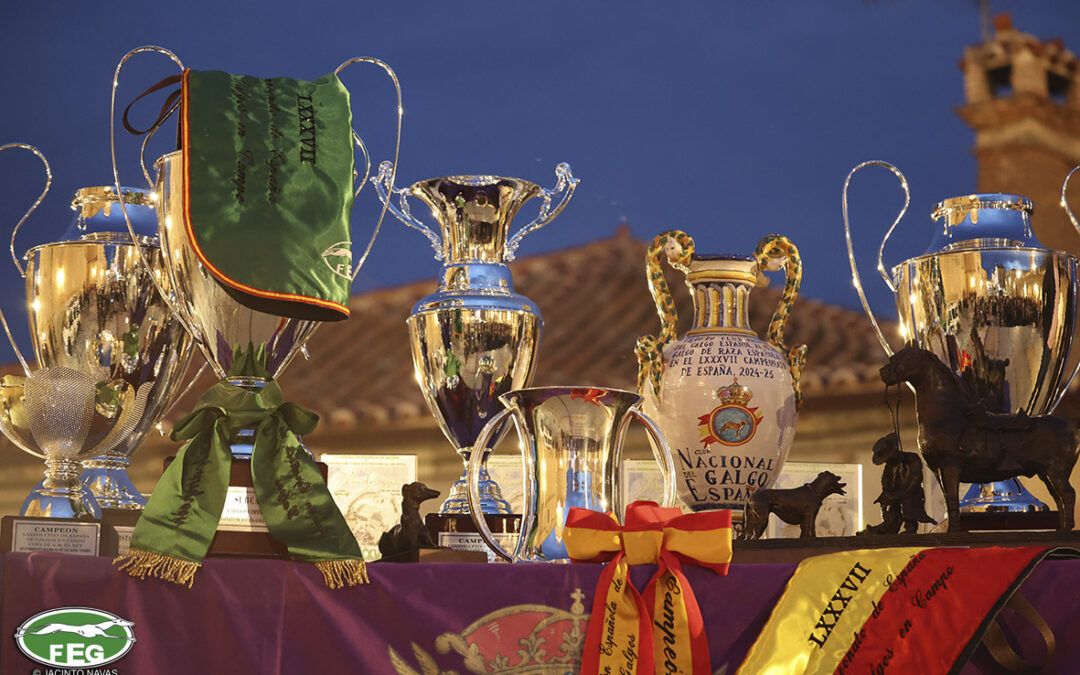 Imagen de trofeos de NACIONAL DE GALGOS EN CAMPO 2026