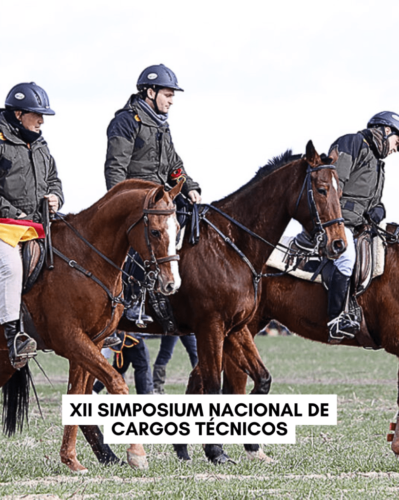 XII SIMPOSIUM NACIONAL DE CARGOS TÉCNICOS