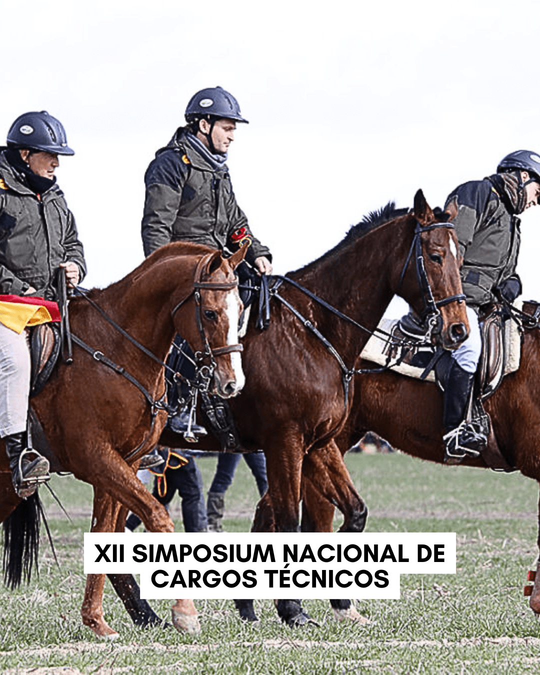 XII SIMPOSIUM NACIONAL DE CARGOS TÉCNICOS