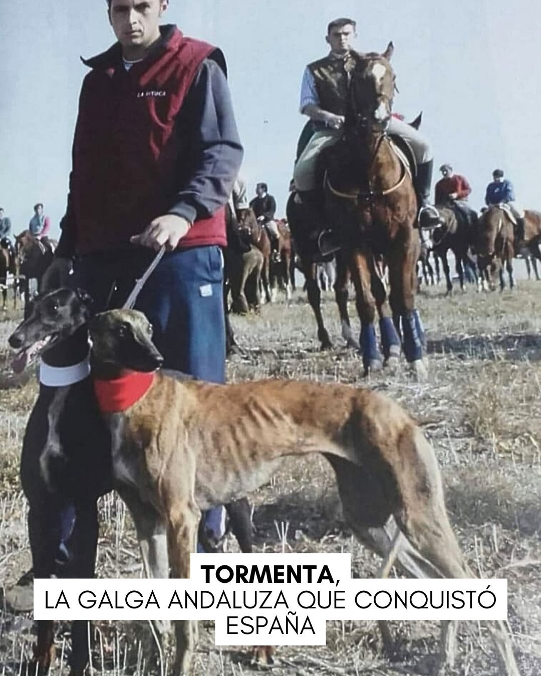 Imagen de la galga Tormenta