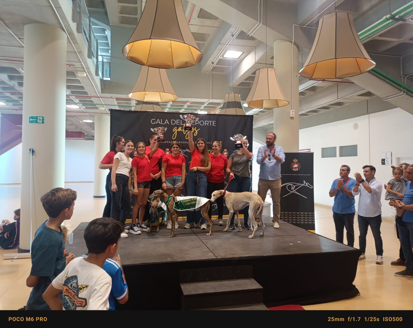 Imagen recogida de trofeos