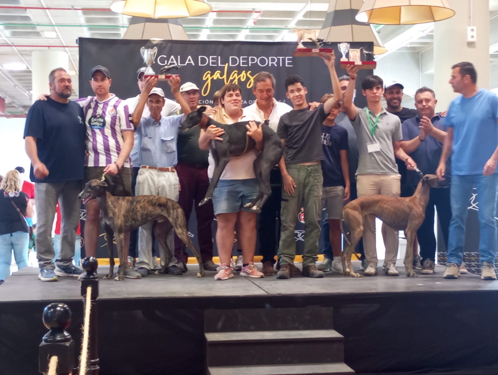 Imagen recogida de trofeos