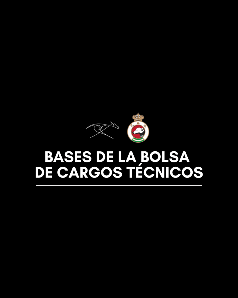 Bases de la bolsa de cargos técnicos