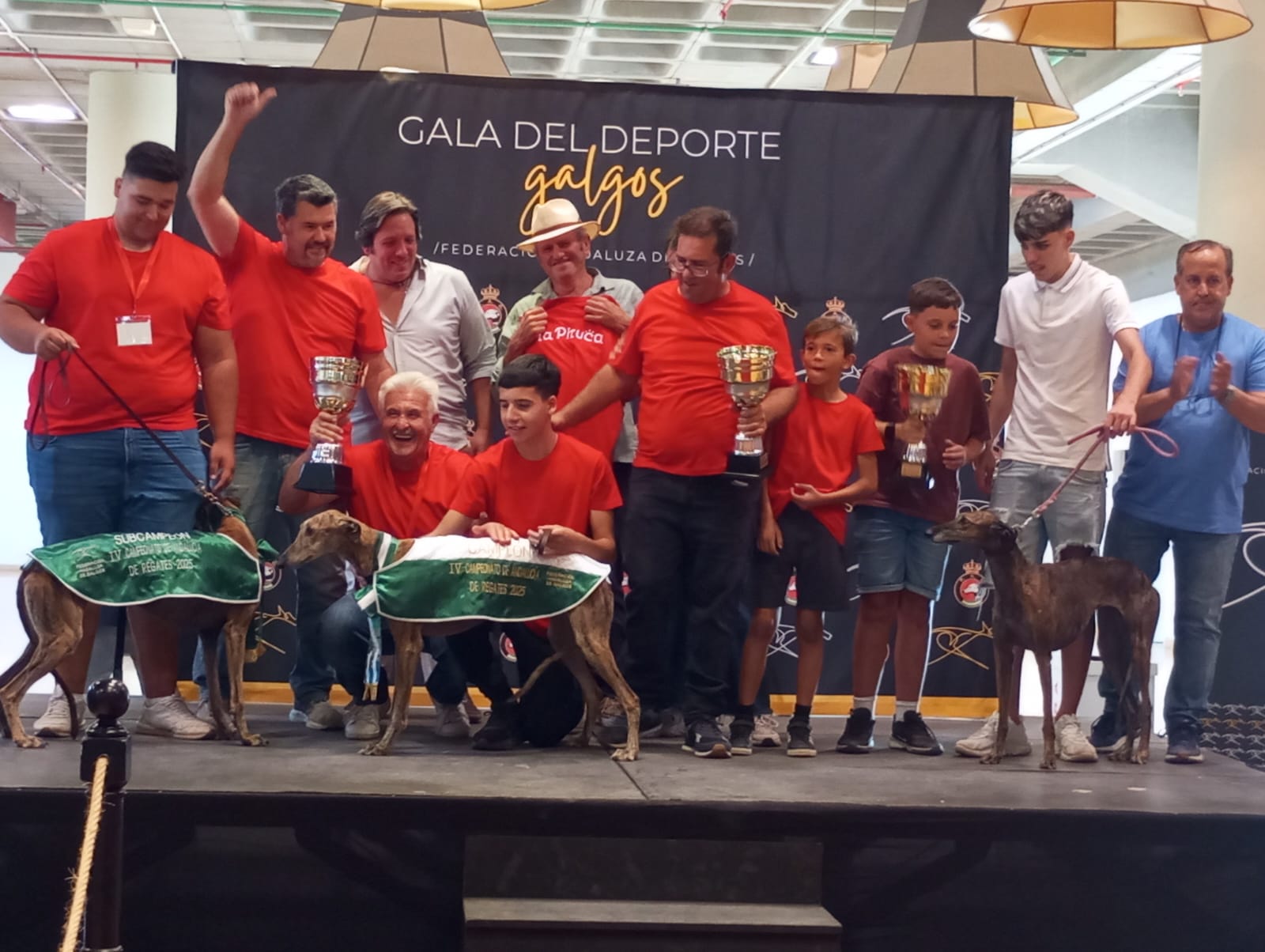 Imagen recogida de trofeos