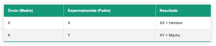 Tabla fecundación galgos