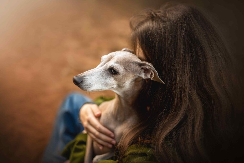 Galgoterapia