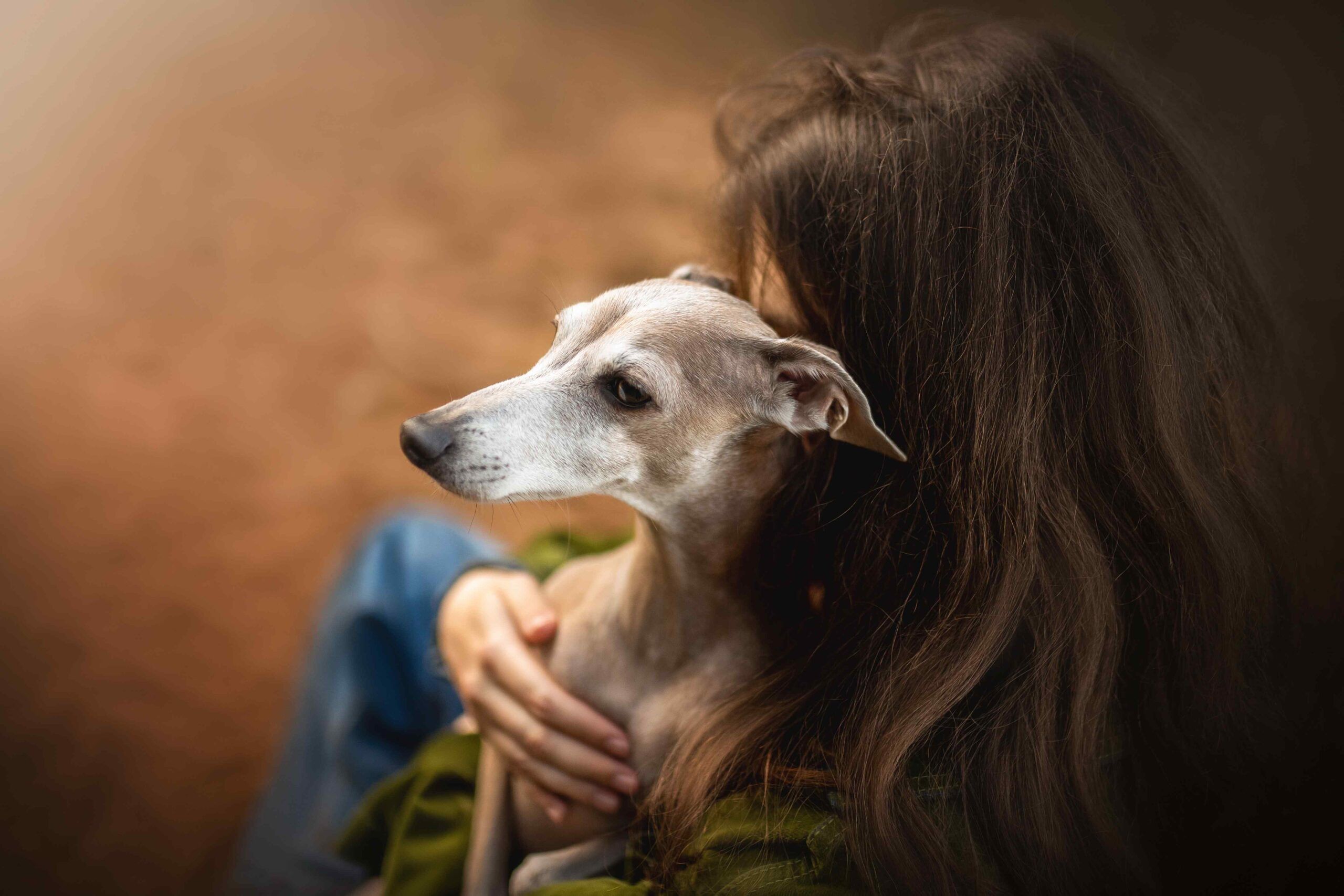 Galgoterapia