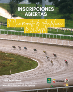 I Campeonato de Andalucía de Whippet