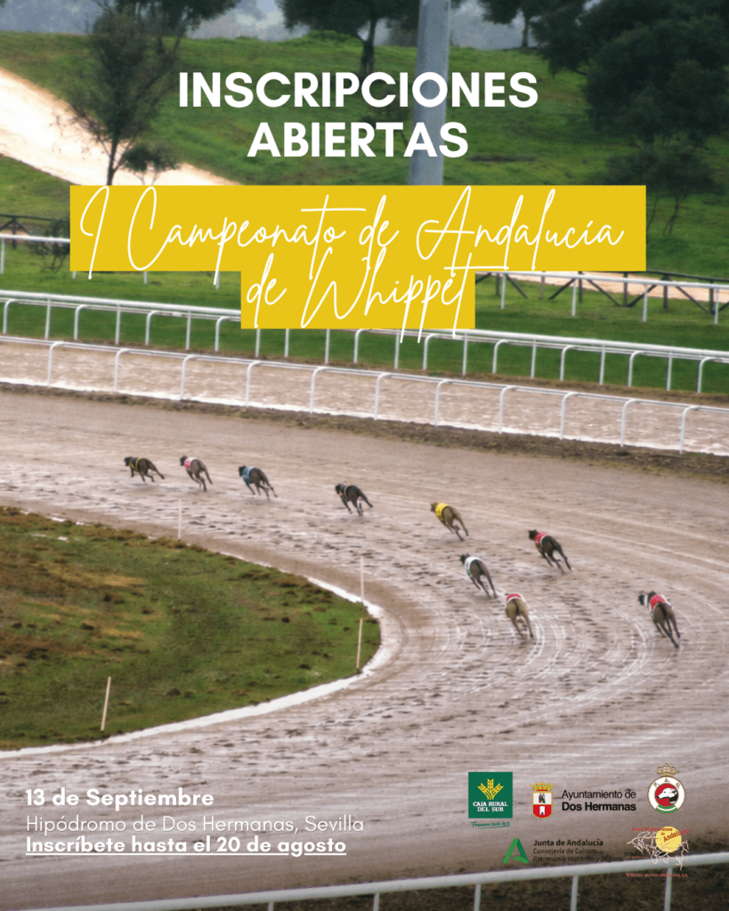 I Campeonato de Andalucía de Whippet