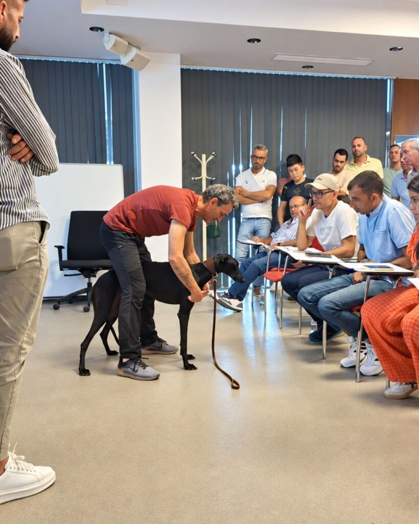 Óscar Hernández realizando valoraciones a Zaina de Nebrixa