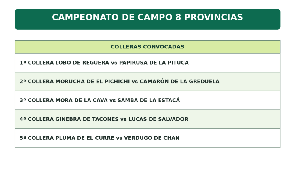 IMAGEN DE TABLA COLLERAS CONVOCADAS CAMPEONATO 8 PROVINCIA